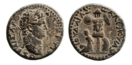 Judea Capta, Titus Münze (Metall)